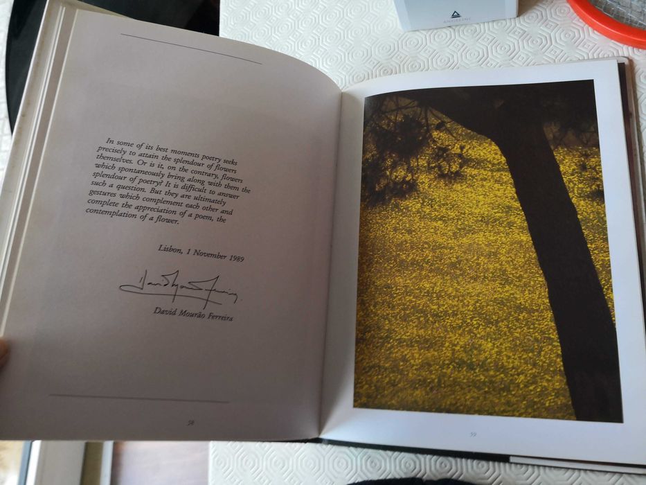 Do fulgor das flores. Raúl Constâncio & David Mourão-Ferreira