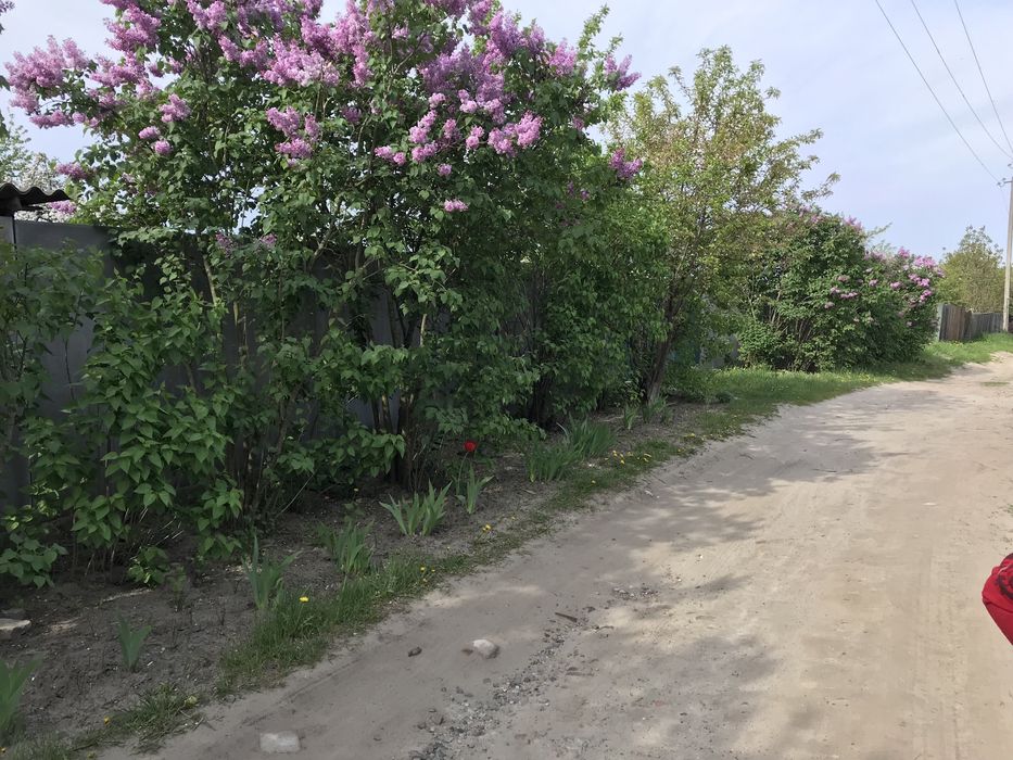 Земельный участок в Тростянце