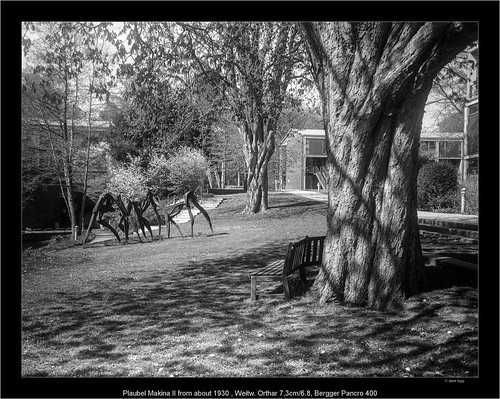 Plaubel Makina II com telémetro.