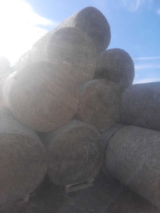 Słoma w balotach 130