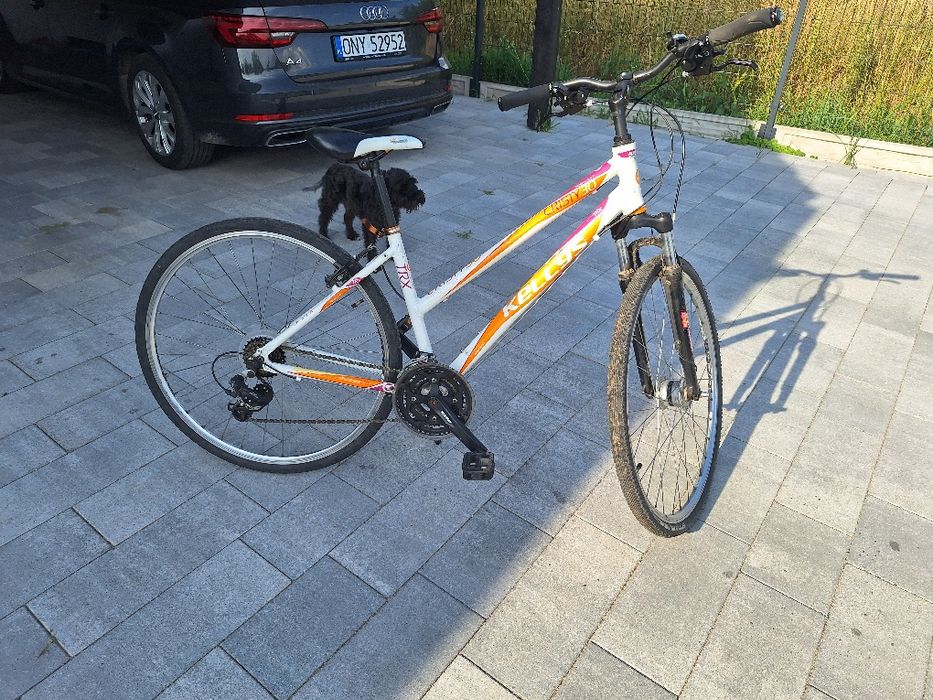 Rower Kellys Cristy koła 28 rama S