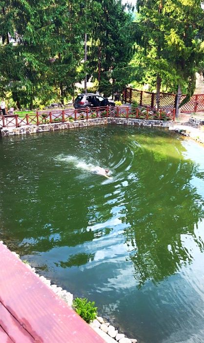 Подобово будинок в с. Шаян Закарпатье Карпати Велятино