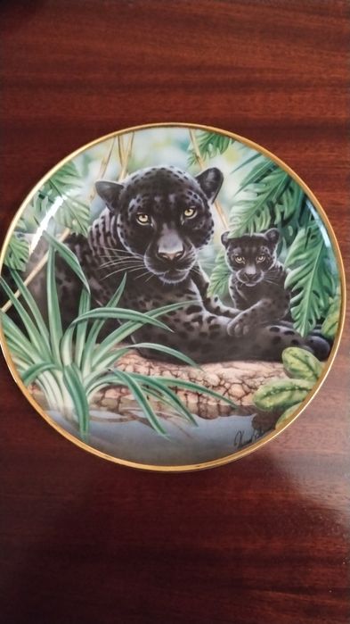 5 Pratos decorativos de 20,5cm diâmetro