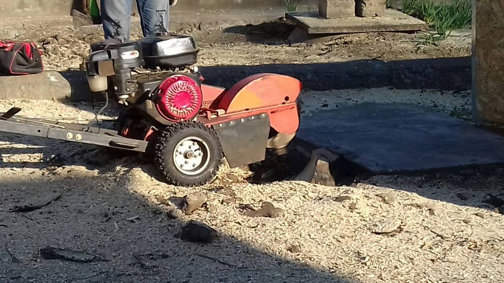 Вспашка и уборка участков очень добросовестно. Одесса.