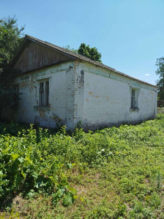 Продам       будинок в селі