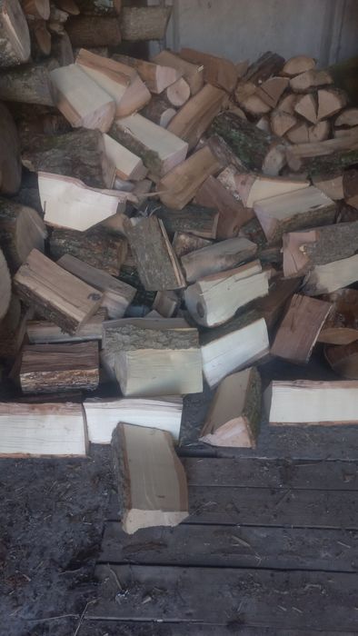 Продам дрова твердих та соснових  порід
