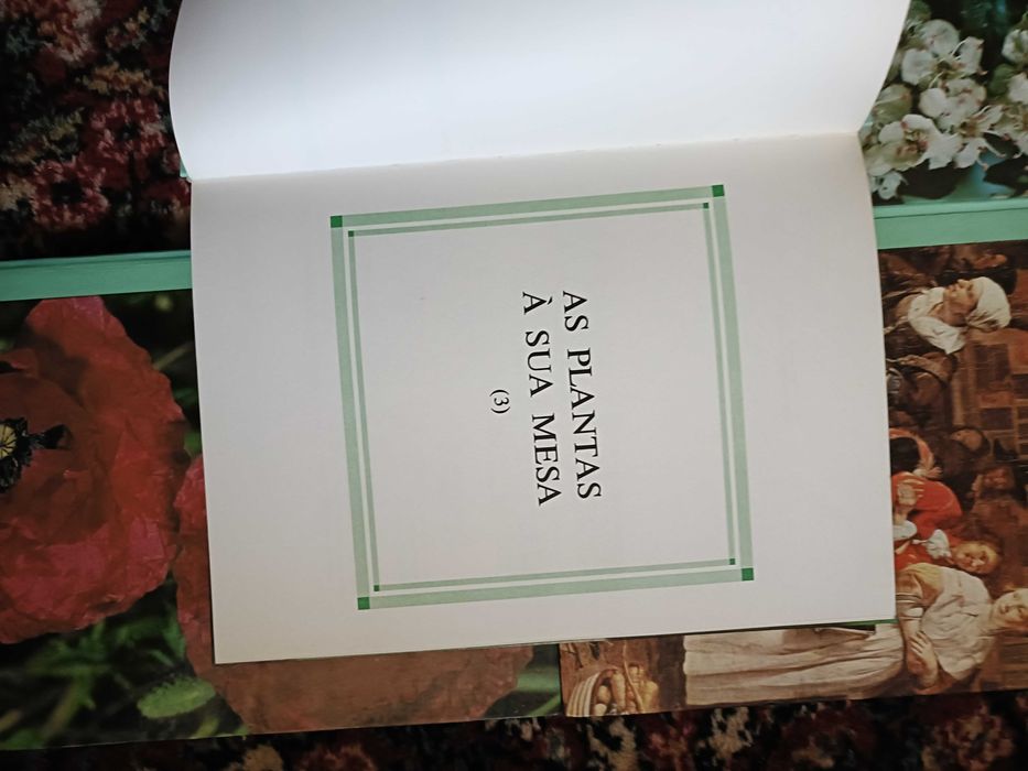 4 Livros As Plantas Nossas Amigas