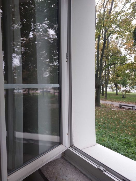 Zdjęcie 4
