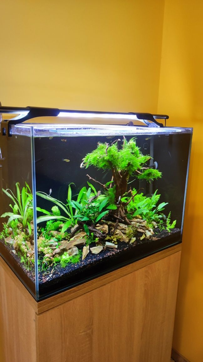 Akwarium 140 litrów cały zestaw Wierzchowisko • OLX.pl