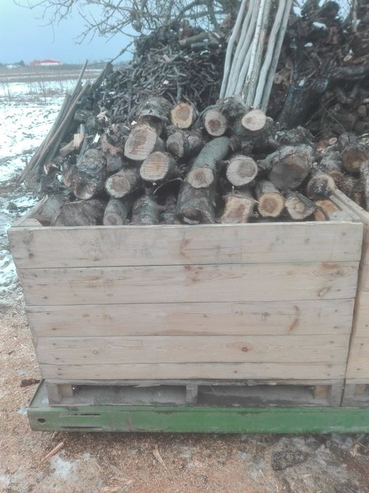 Sprzedam drewno jabłoniowe , na opał, drzewo , drewno