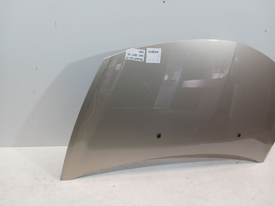 Capot RENAULT Clio III (BR0/1, CR0/1)