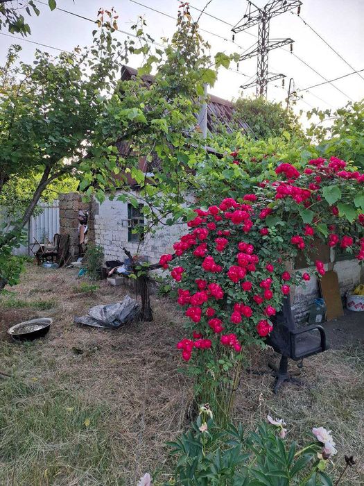 Дачный участок. "Запорожсталь-2" переулок Батайский.