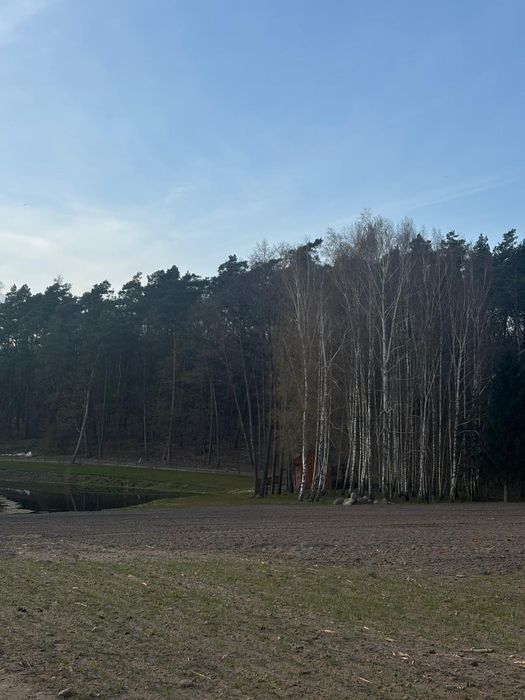 wynajmę altane przy lesie