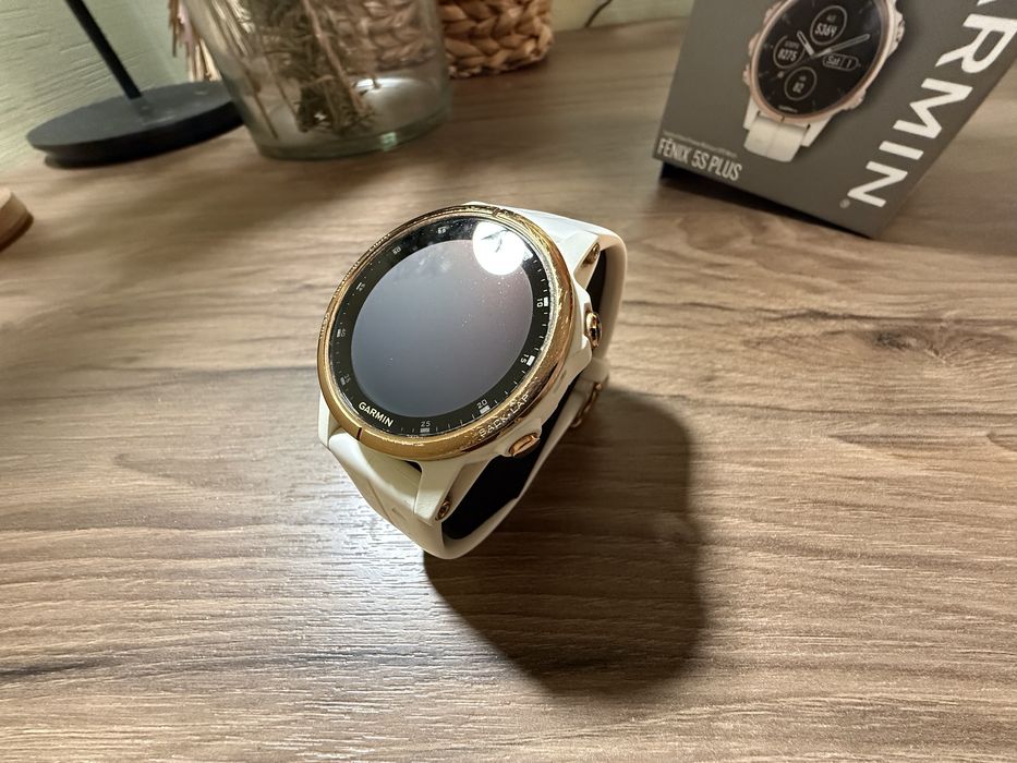 Спортивний годинник Garmin Fenix 5s plus