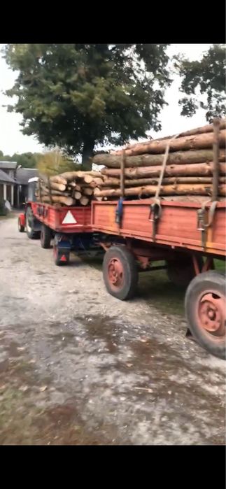 Drewno opalowe świerk sosna