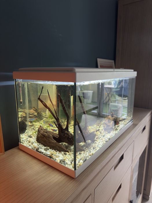 Vendo Aquario 60 L