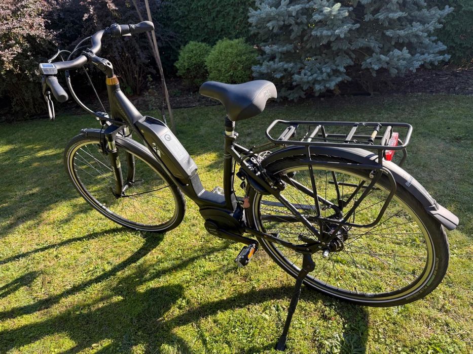 Rower elektryczny Gudereit