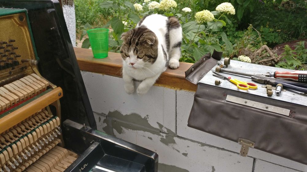 Настройка піаніно (з дрібним ремонтом тощо) , 1000 грн, гарантія