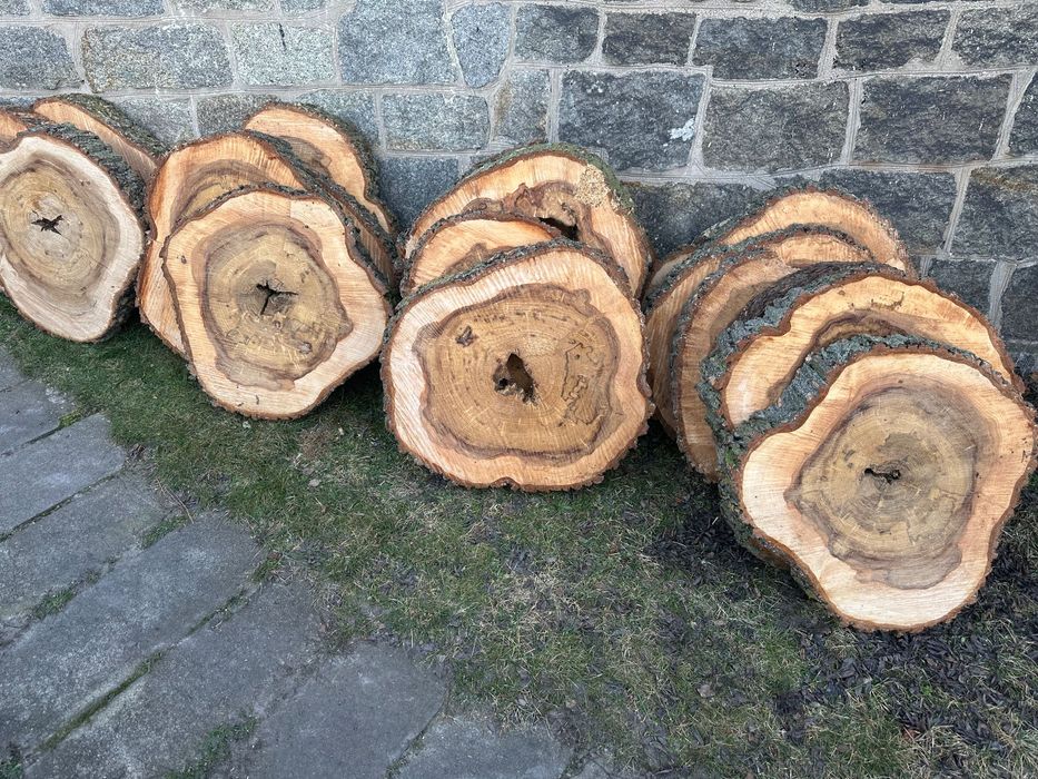 Drewno Wiąz świeżo cięte duże plastry handmade żywica