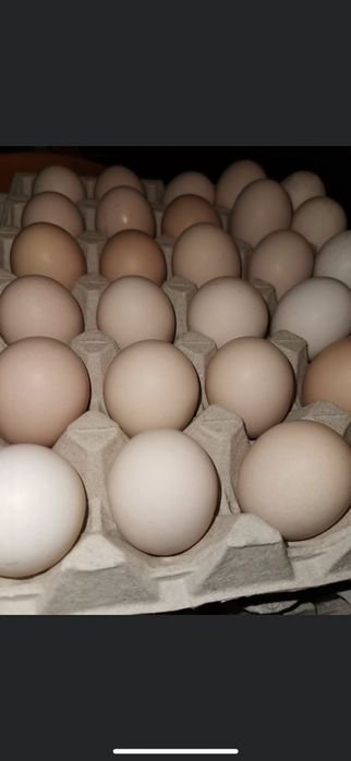 Jaja Wiejskie EKO, dostawa min. 30 szt w cenie !!