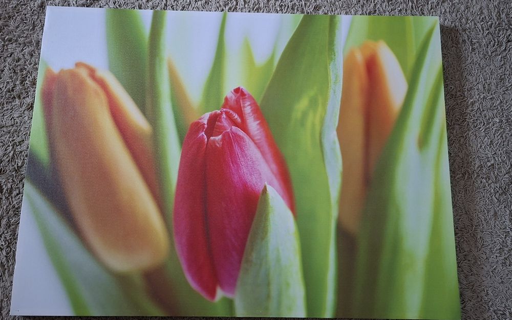 Obraz do kuchni, na hol 85 × 113