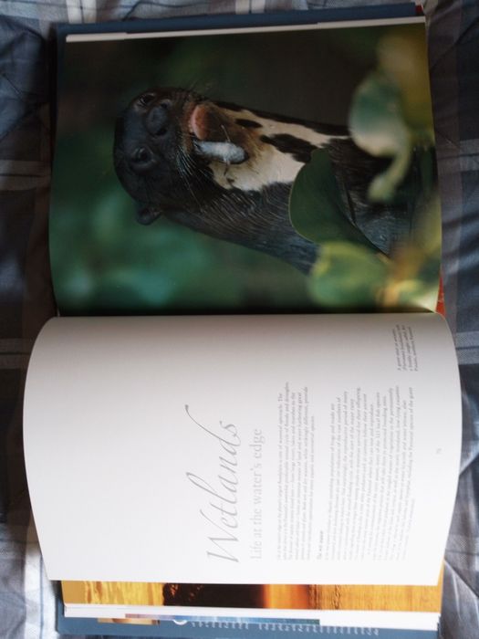 Livros de fotografia