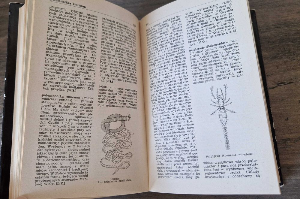 Mały słownik zoologiczny Bezkręgowce stan bdb