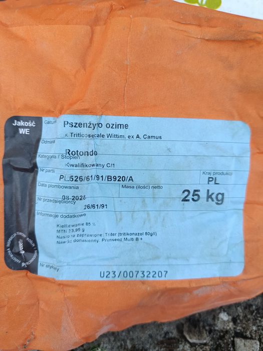 Pszenżyto Rotondo i Belcanto/Jęczmień ozimy Kosmos