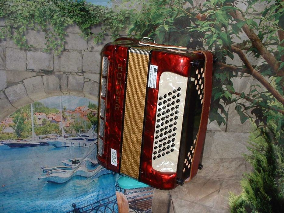 Promoção de Acordeões de concertinas