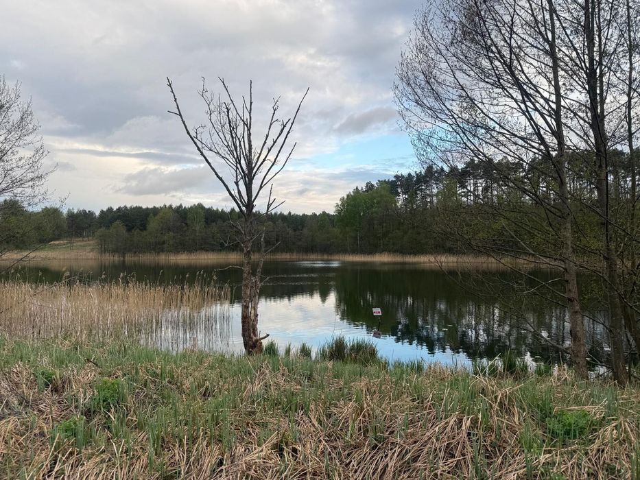Działka z widokiem na jezioro