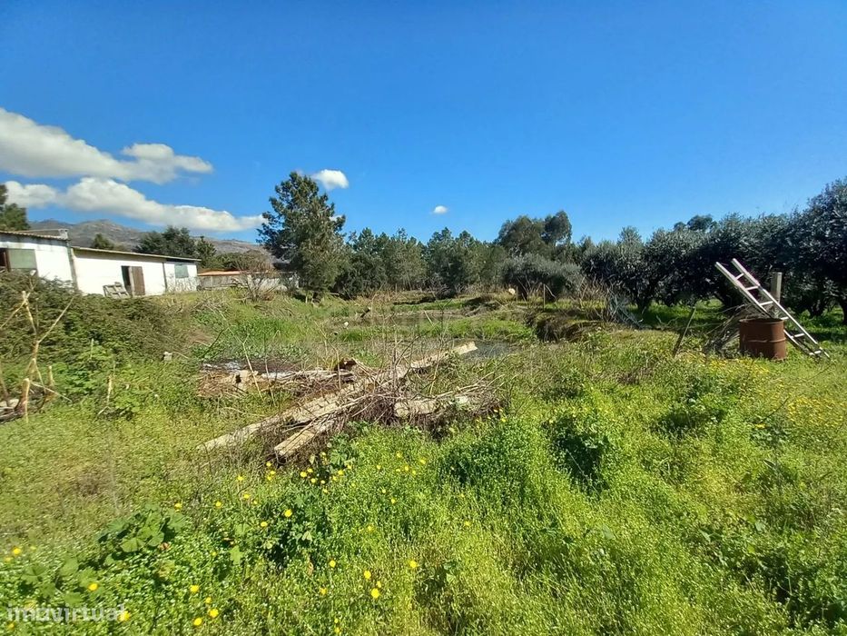 Quinta com 24750m2 Louriçal do campo