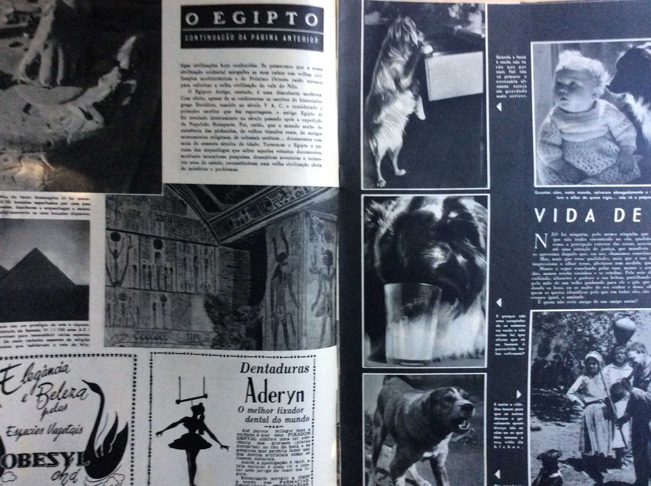 Portugal ilustrado. Atualidades, document. acontecimentos... 1956