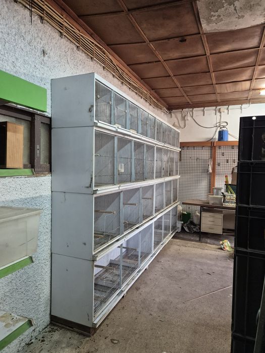 Viveiros para passaros