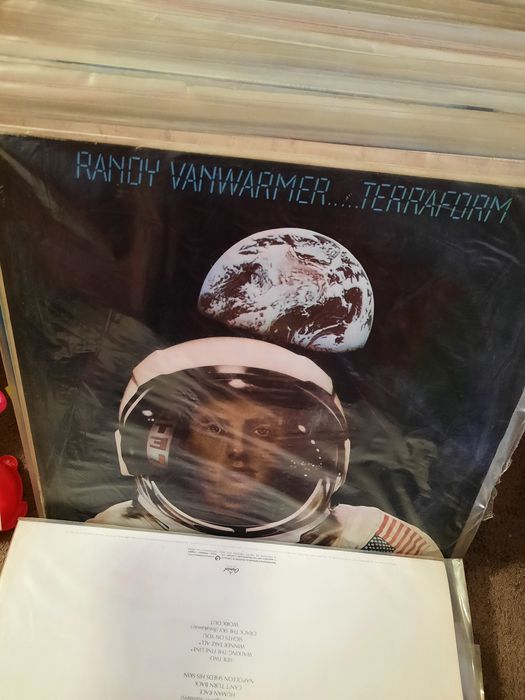 38-Vinis em Bom Estado