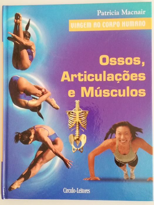 Viagem no corpo humano - ossos, articulações e músculos