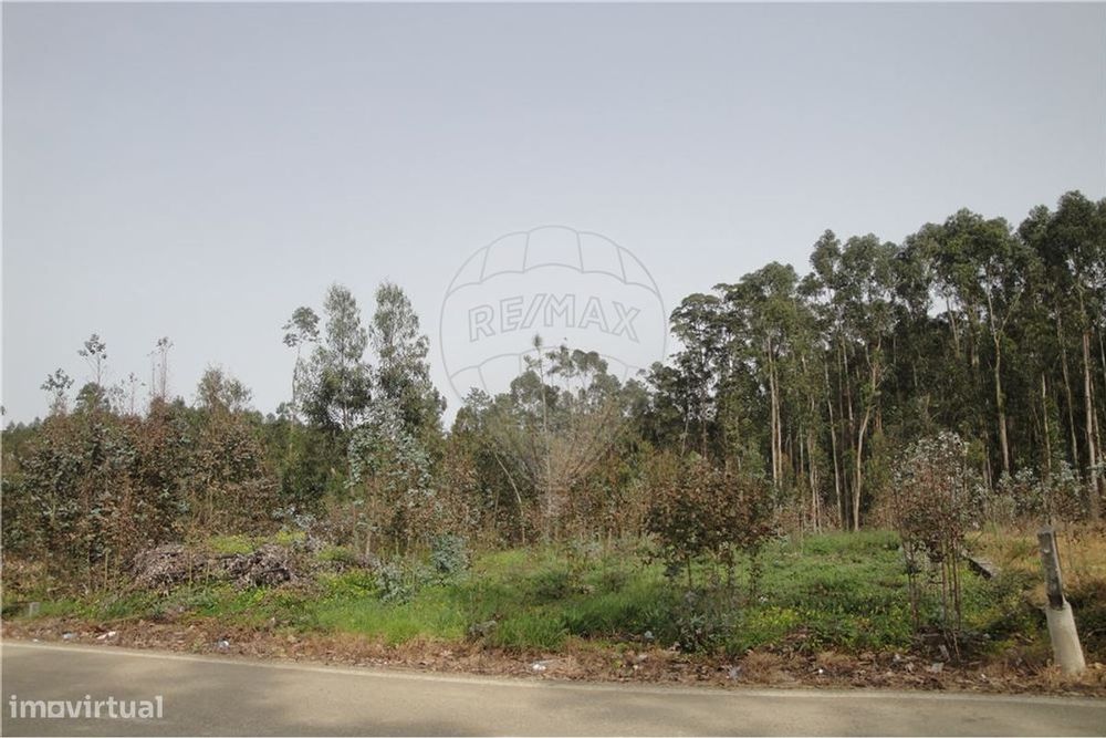 Terreno  para venda — Vilarinho do Bairro, Aveiro