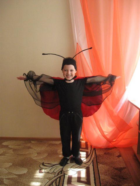 Прокат Костюм Божьей коровки жука жучка  новогодний божа корівка