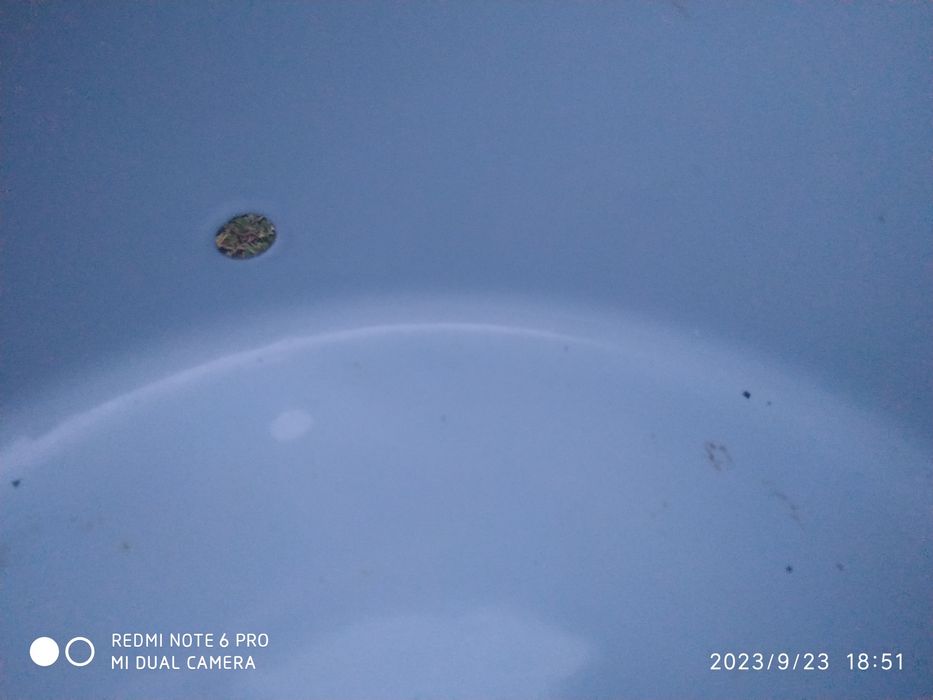 Продам большую эмалированную кастрюлю.