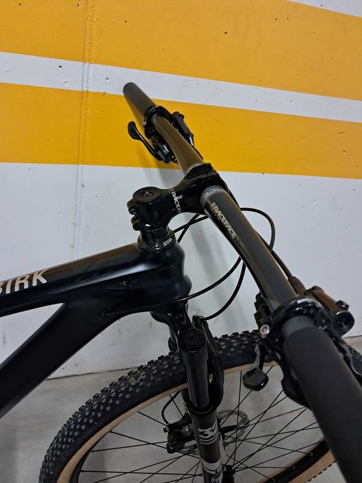 Bicicleta carbono BIRK