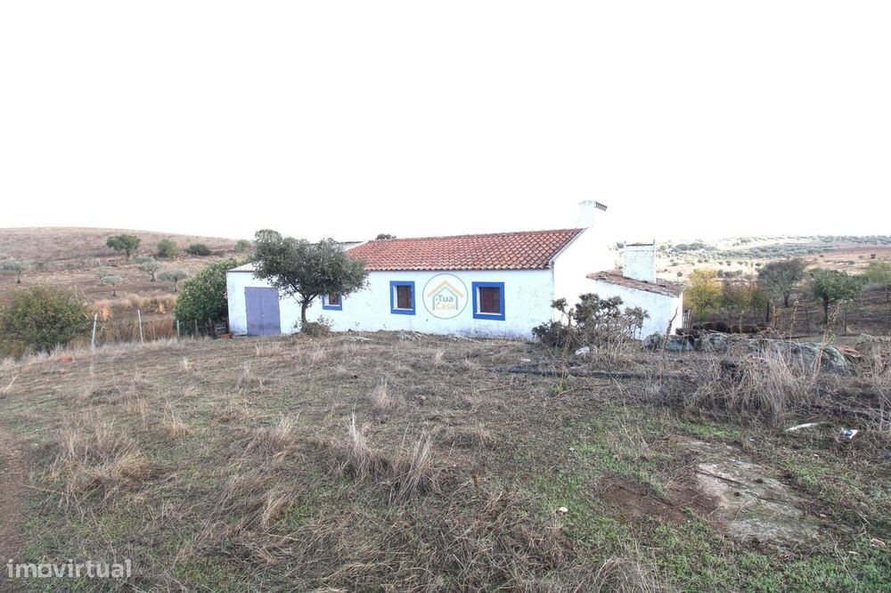 Herdade com 13,8 Hectares Localizada a 5 Kms da Vila de Redondo