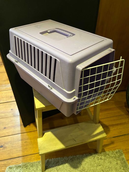 Transportadora para gato