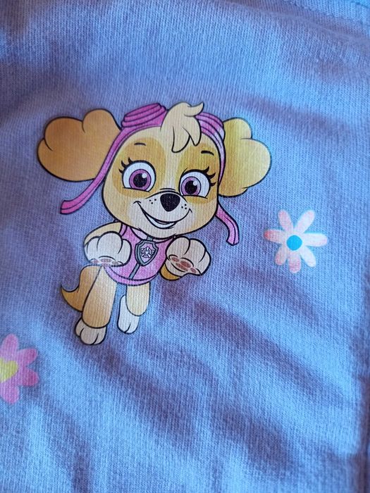 Komplet dres- spodnie i bluza