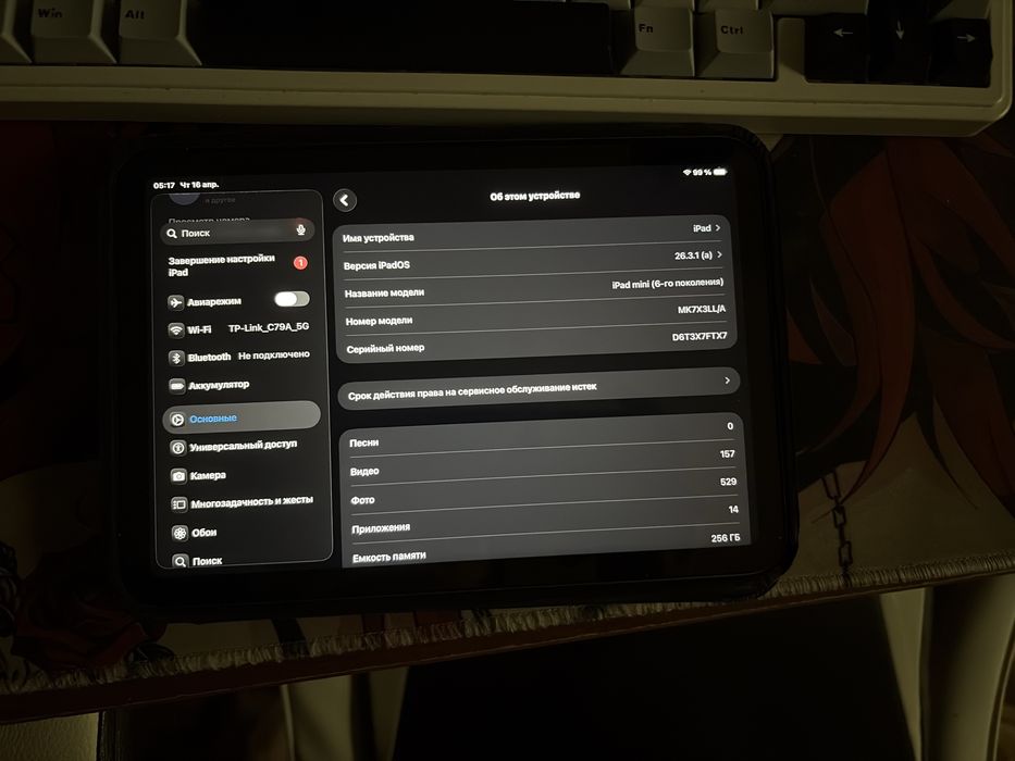 Ipad mini 6 256gb
