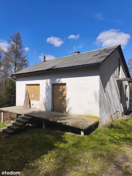 Dom pod lasem z piwnicą w miejscowości Młoszowa gm. Trzebinia