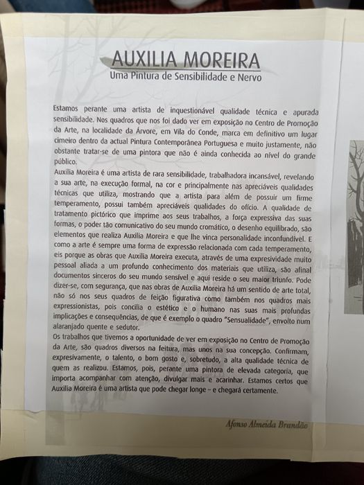 Pintura a óleo sobre tela (Auxilia Moreira)