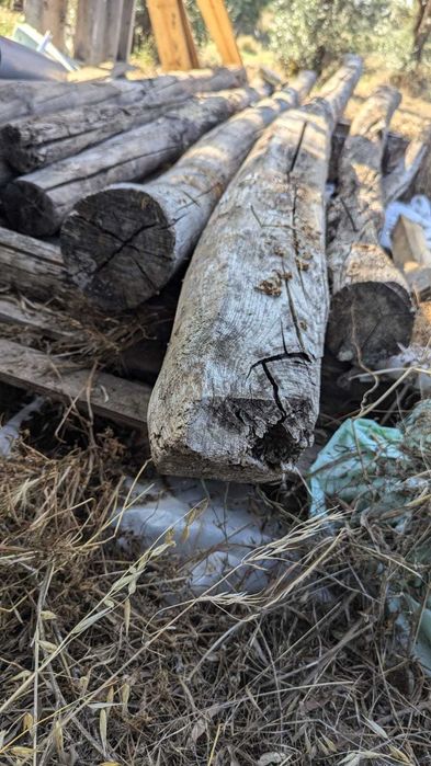 Vigas de madeira de castanho para recuperar (unidade)