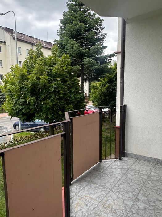 Zielony Jar, Podolszyce -  2 pokoje (41,1 m²), wysoki parter Płock - Więcej