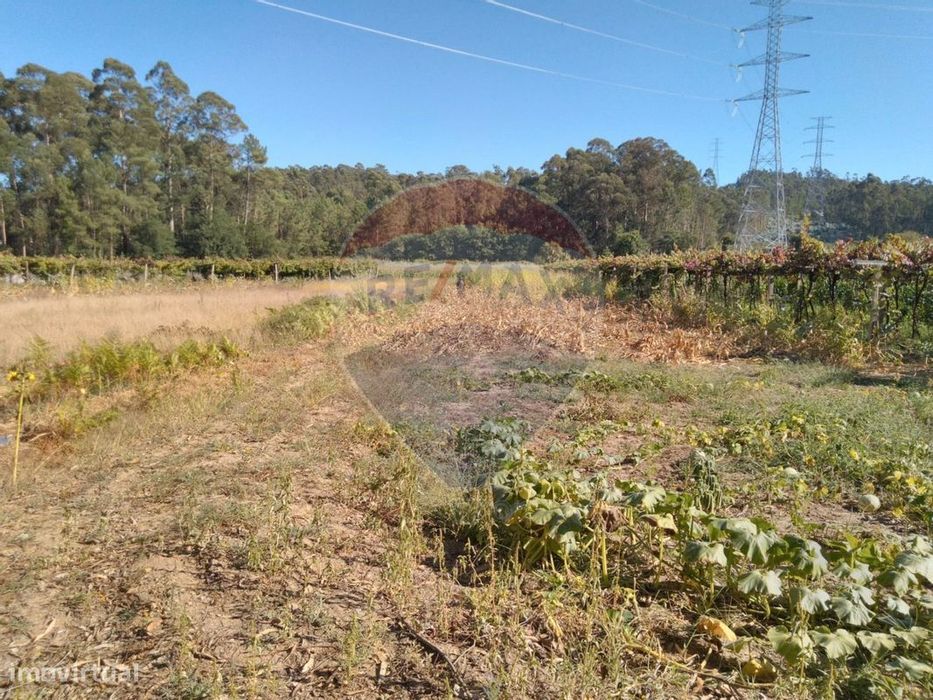 Terreno  para venda