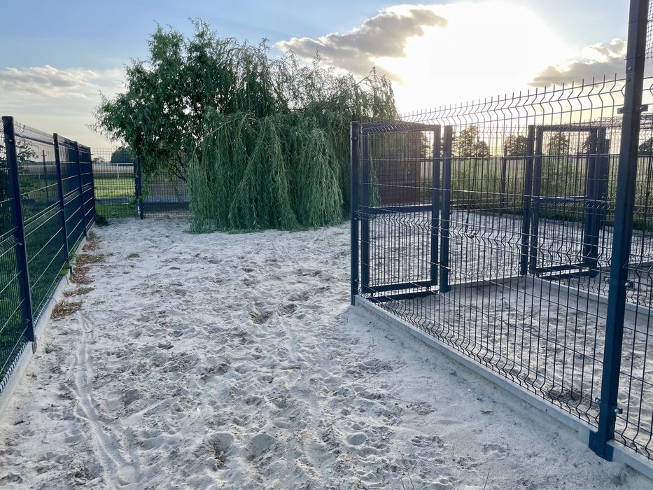 Hotel dla psów, pokoje z wybiegami