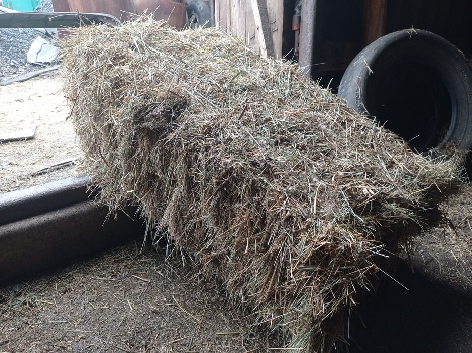 Продам тюкованое сено